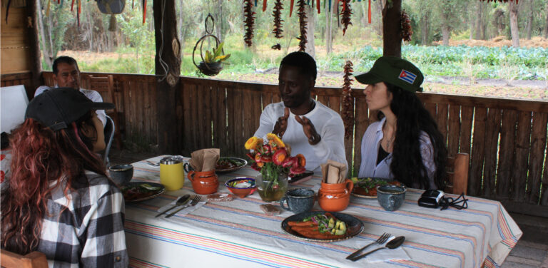 tours bilingües y servicio de interpretación para experiencias y hospedajes.