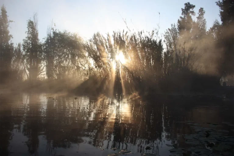 Amanecer en los canales del humedal de Xochimilco con rayos de sol sobre el agua