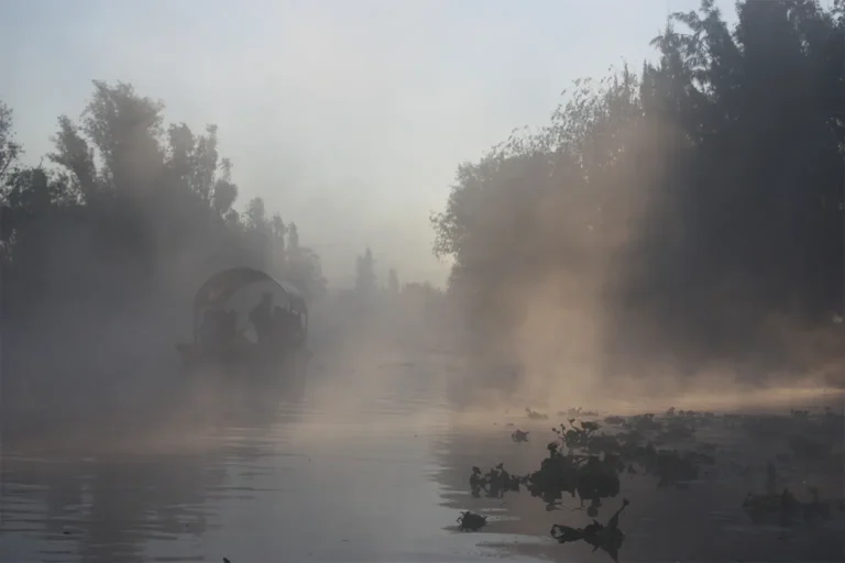 Traginera navegando entre la niebla en el humedal de Xochimilco al amanecer