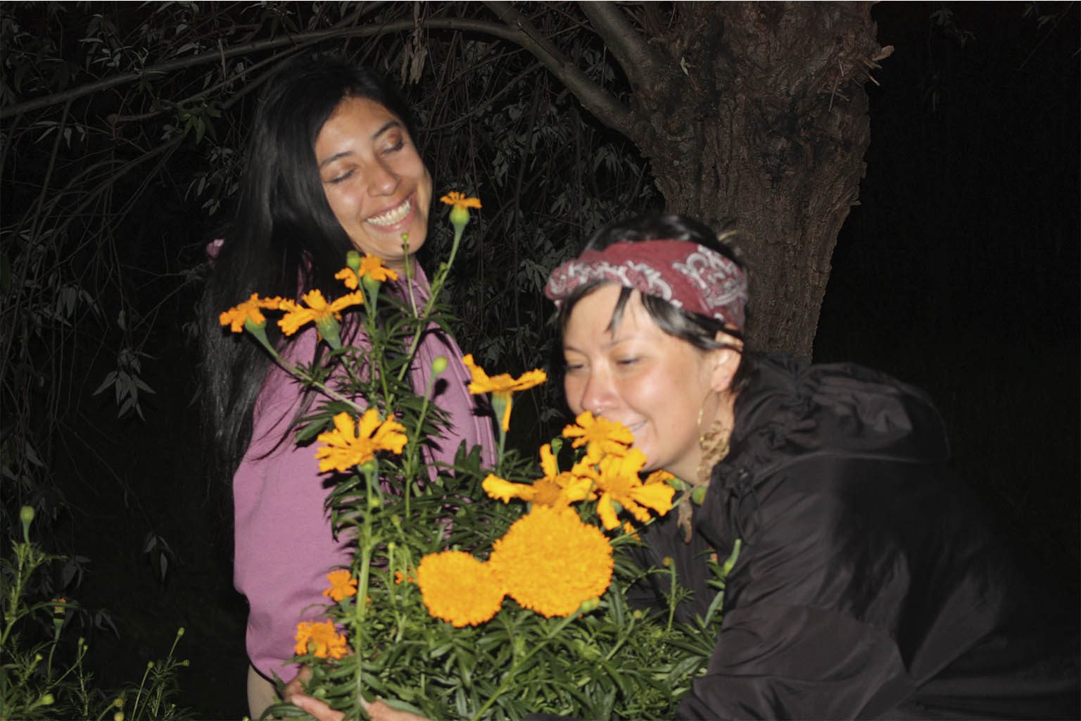 TonalliDiademuertos2026